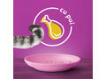 Whiskas Junior hrana uscata cu pui pentru pisici junioare 1.4kg