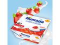 Humana Iaurt Cu Capsuni 4X100G, 8+