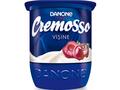 Cremosso Iaurt visine 3,6% 125g