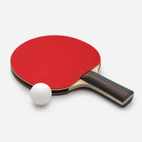Stol tennisi