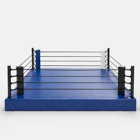 Ringlar, tatami va matlar