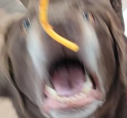 Choco Spaghootol2