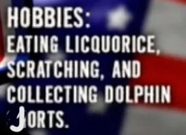 Dolphin Jorts