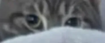 Luna Soon