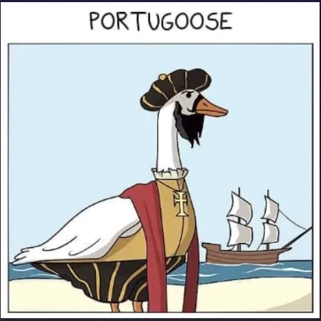 Porchugoose
