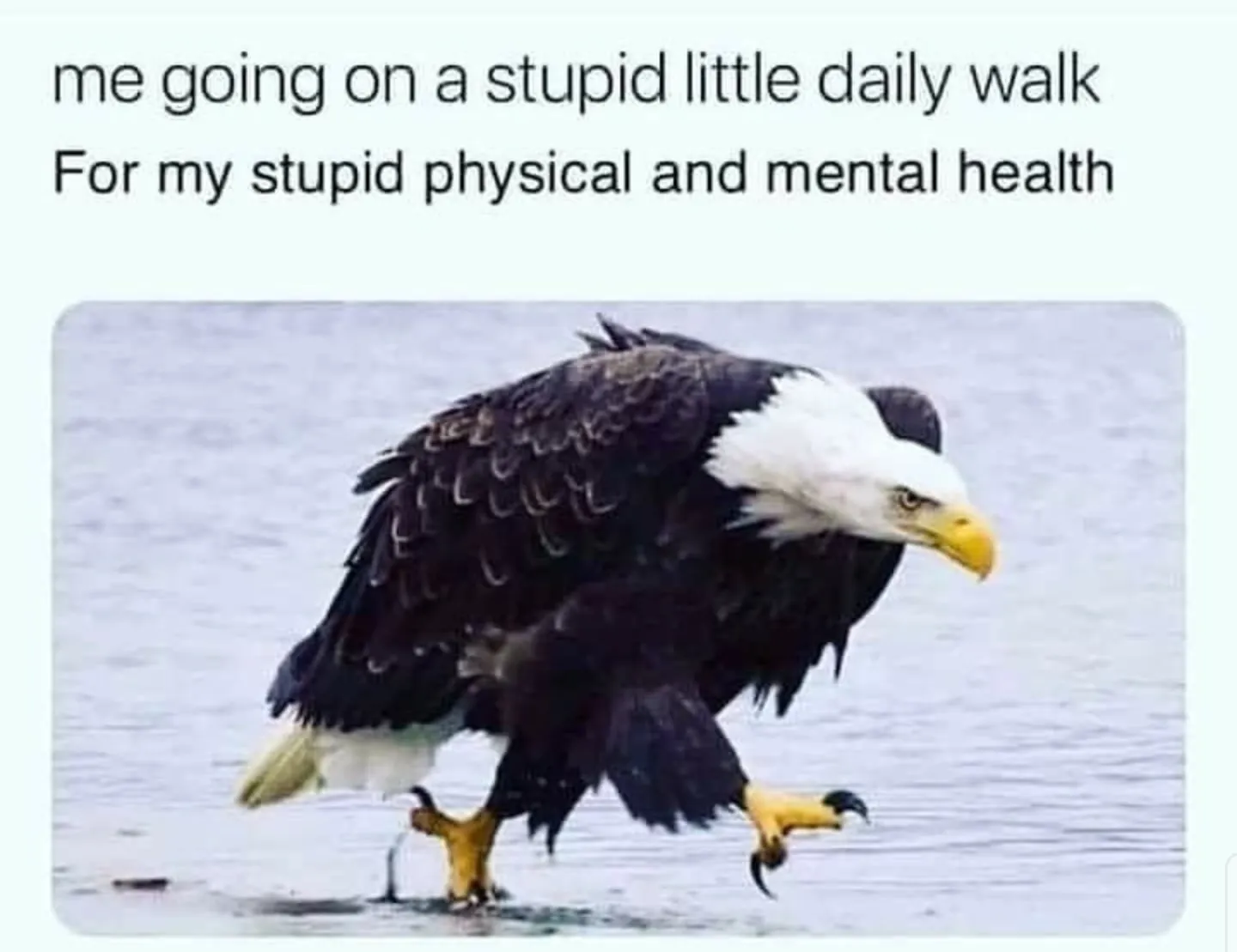 Stupidwalk