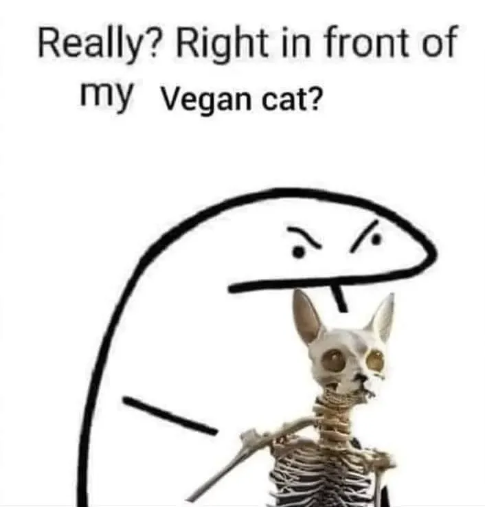 Vegancat