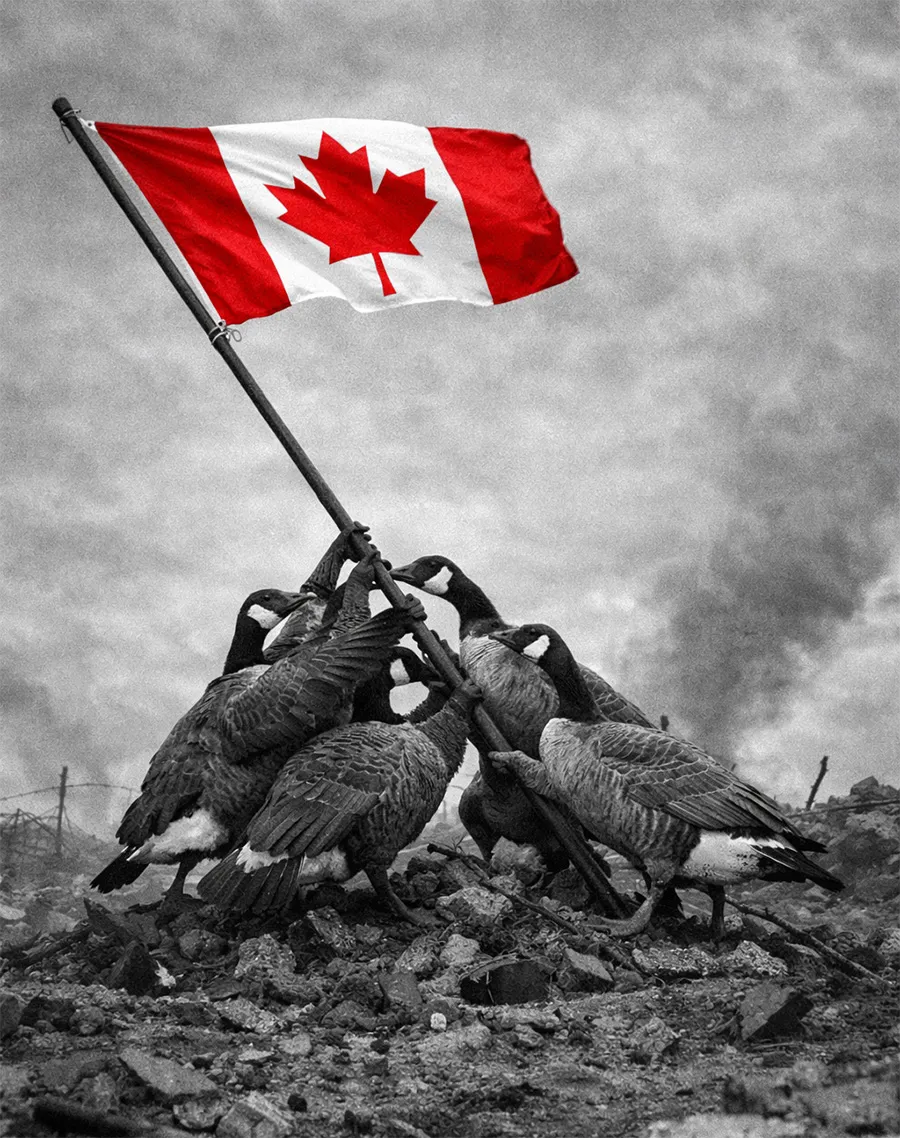 Iwo Jima Canadian Geese