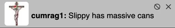 Raggy Slippy