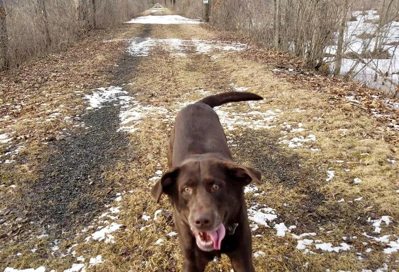 Choc Trail