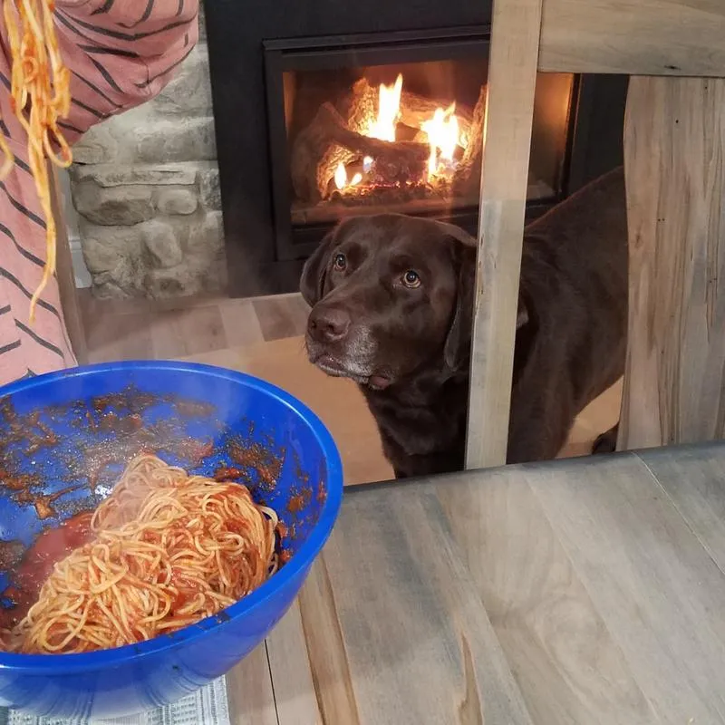 Choco Spaghetti