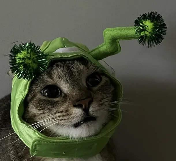 Glorp Autism