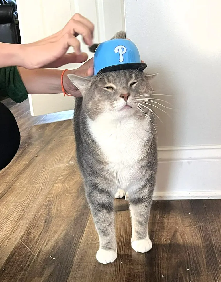 Hat