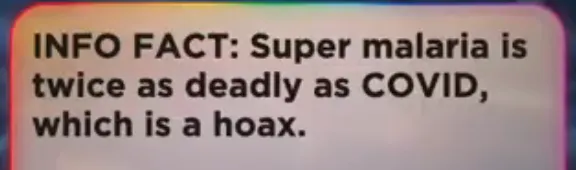Comments Covid Hoax
