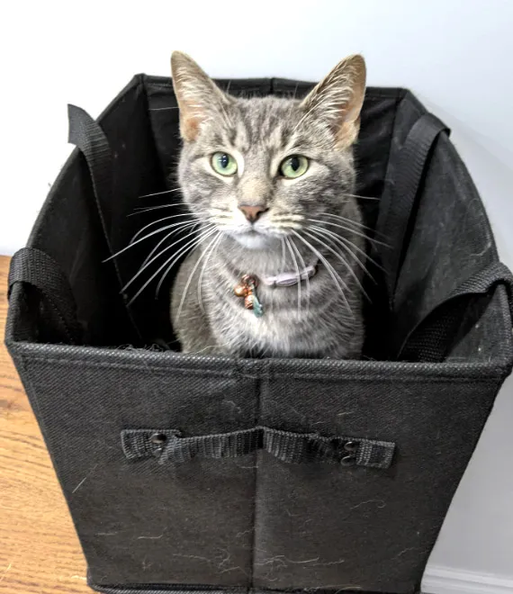 Box