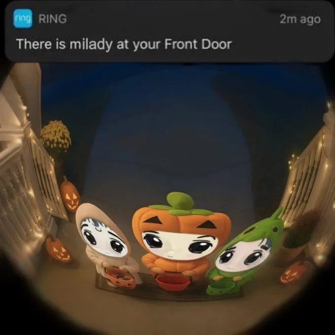 Ring Doorbell Cam