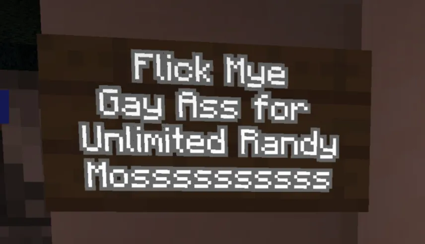 Sign Flick Randy Moss