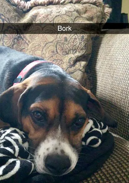 Bork