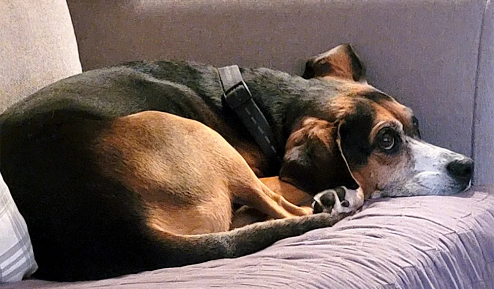 Sofa 3