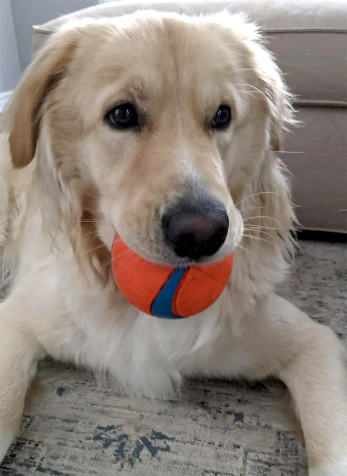 Ballmouth