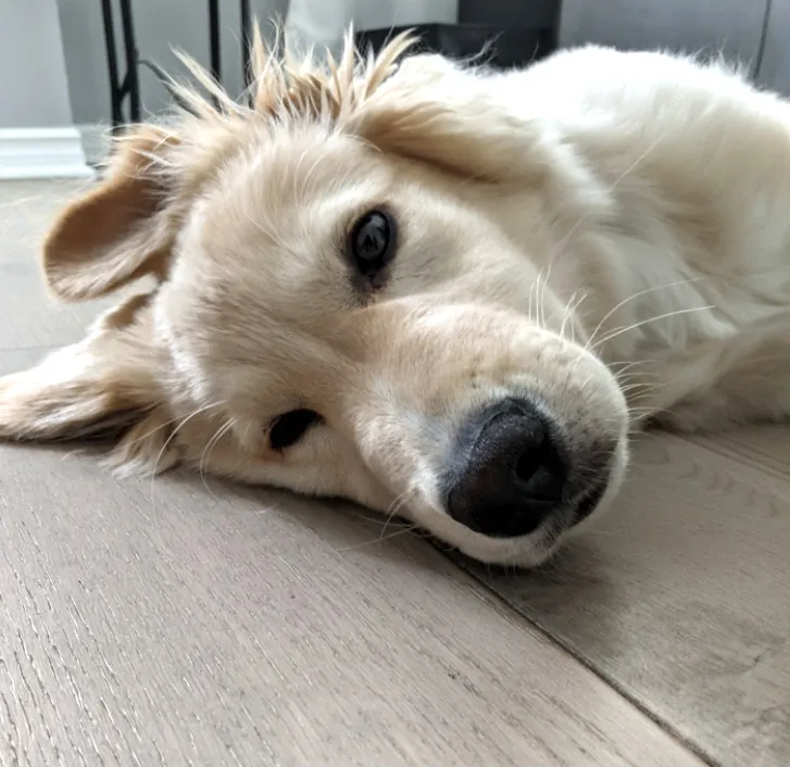 Lilmiddaynap 2