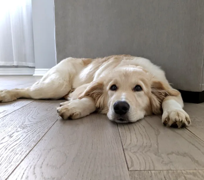 Lilmiddaynap