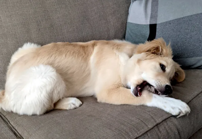Mouthfulmode