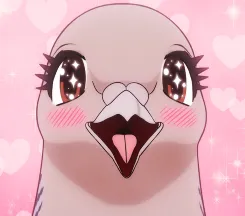 Pigeon 2