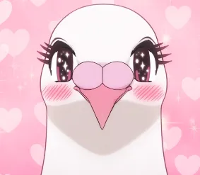Pigeon 3