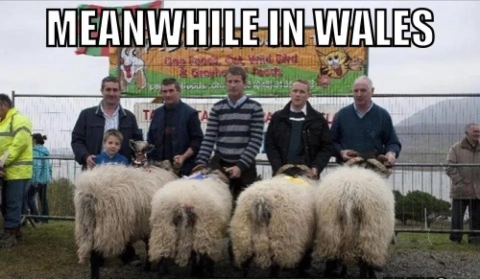 Meanwhile