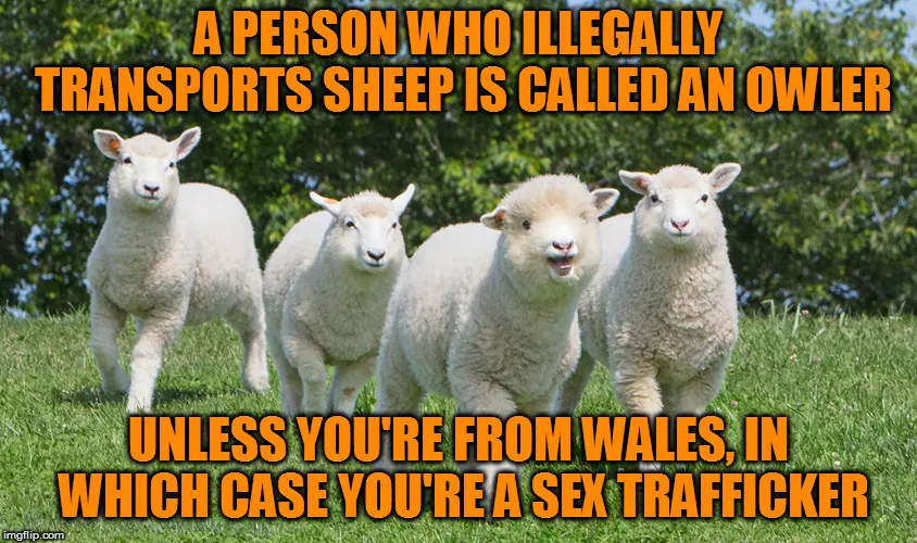 Trafficker
