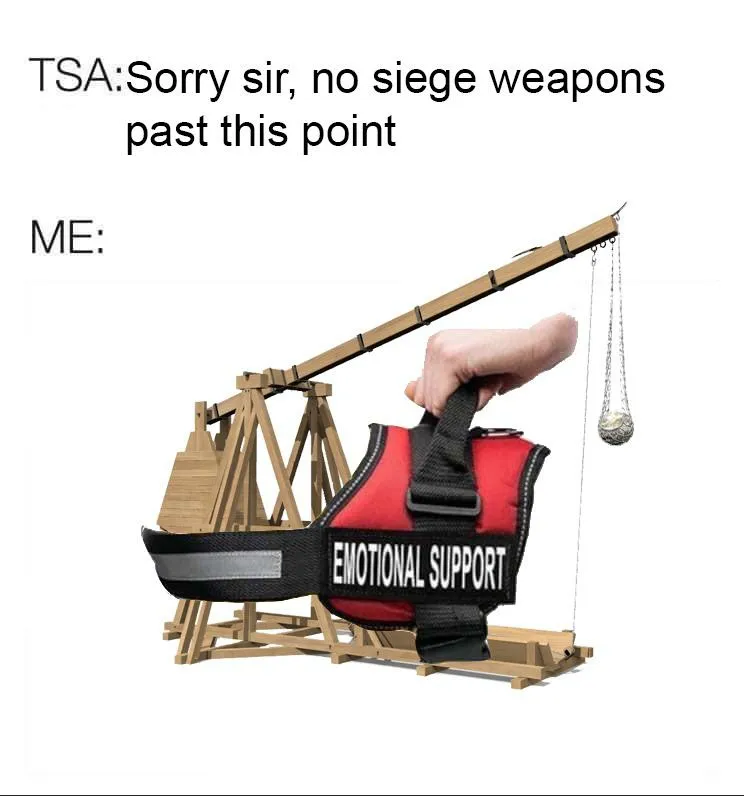 Emotional Support