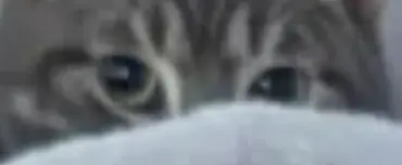 Luna Soon