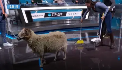 NCAAMM25 Goat Poop