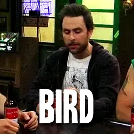 giphy