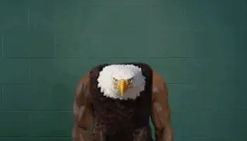 Jackedeagle