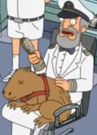 Captain Capybara