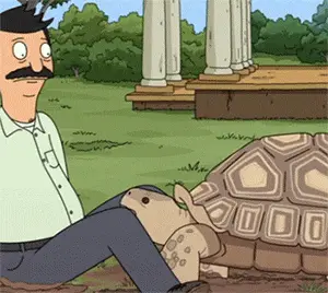 Tortuga 3
