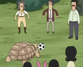 Tortuga 4