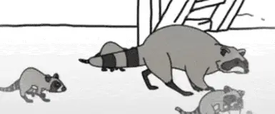 Trash Panda Family Dance