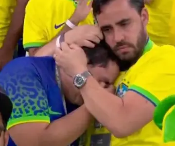 Wc2022 Br Fanshugging