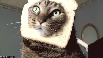 giphy-4