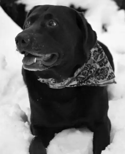 Choc Filmnoir
