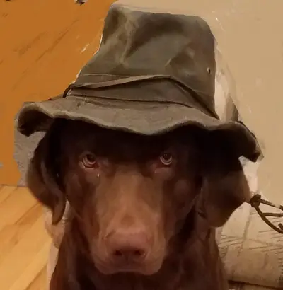 Choc Fisherman