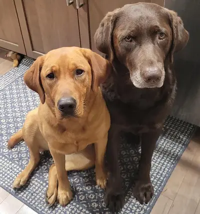 Choc Ft Ruby