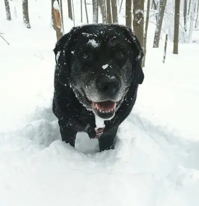 Choc Oldefloof