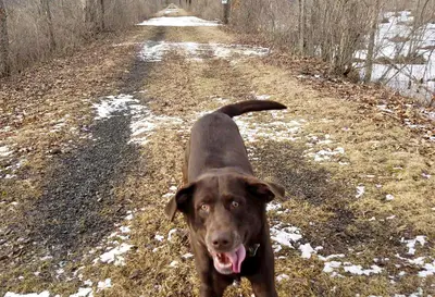 Choc Trail