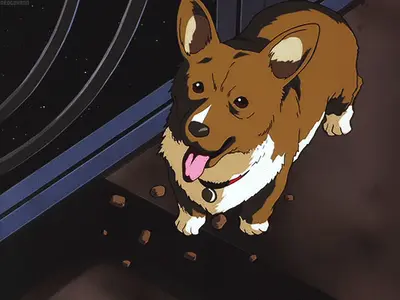 Floatchomp
