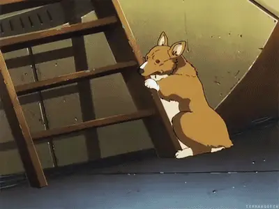 Ladder