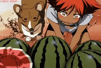 Wuddermelon